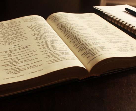 Comentario al Domingo XXVII del Tiempo Ordinario