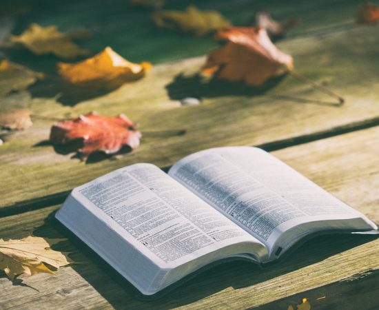 Comentario al Evangelio del Domingo XXIX del T.O.