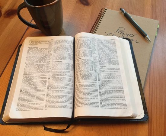 Comentario al Domingo XXXIII del Tiempo Ordinario