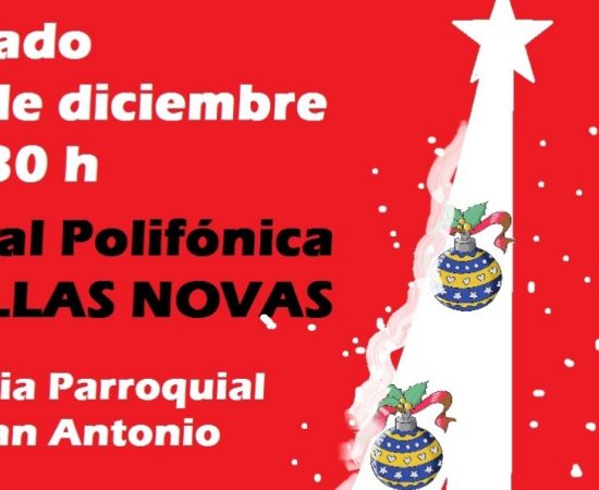 Cartel del concierto de Follas Novas (14 de diciembre)