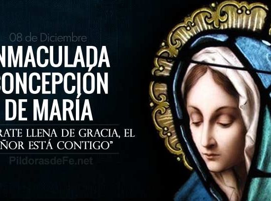 Comentario a la solemnidad de la Inmaculada Concepción