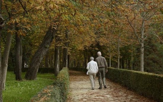 Visitadores de enfermos y ancianos