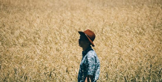 Comentario al Domingo XVI del Tiempo Ordinario