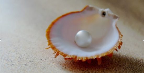 Comentario al Domingo XVII del Tiempo Ordinario