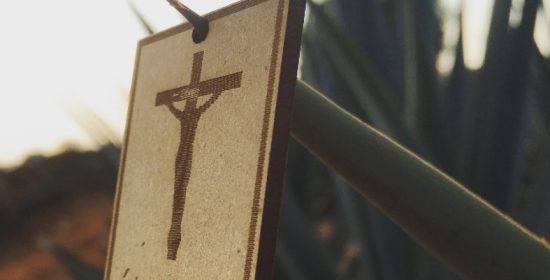 Comentario al Domingo XXVII del Tiempo Ordinario