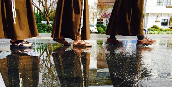 Comentario al Domingo XXVIII del Tiempo Ordinario