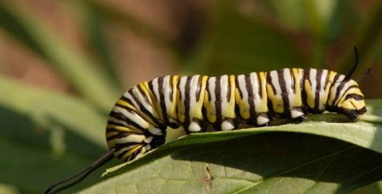 Cuentos con moraleja: “mi vida por un sueño”
