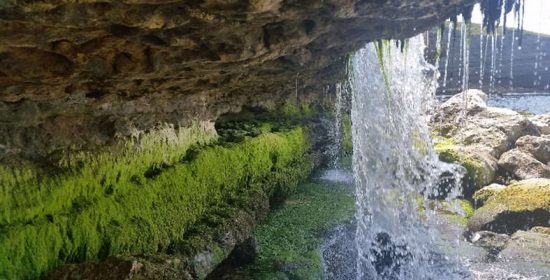 ¿Es la Iglesia transparente?