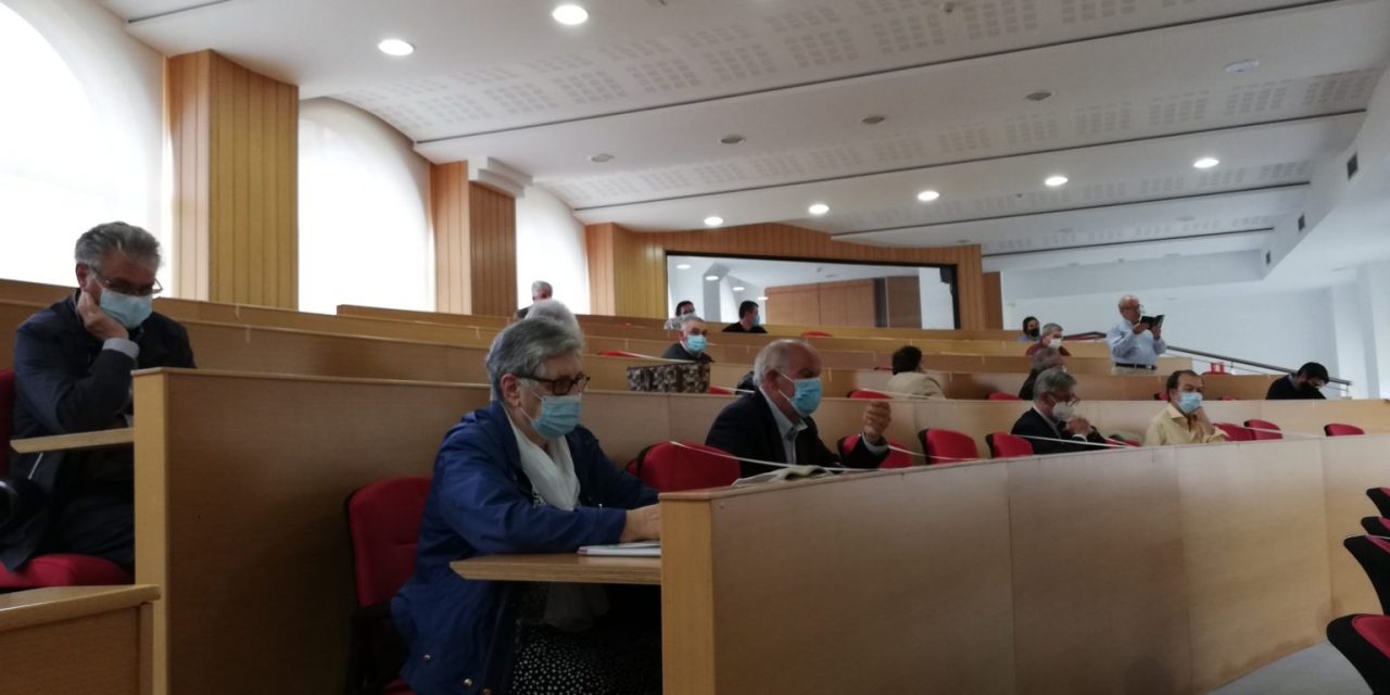 Consello de Cáritas Diocesana