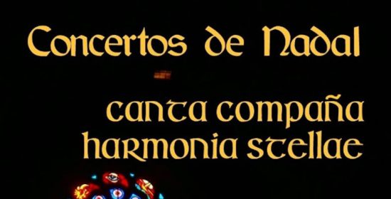 Concierto de Navidad