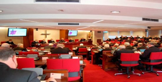Del 21 al 25 de noviembre se celebró la 120ª Asamblea Plenaria de la CEE