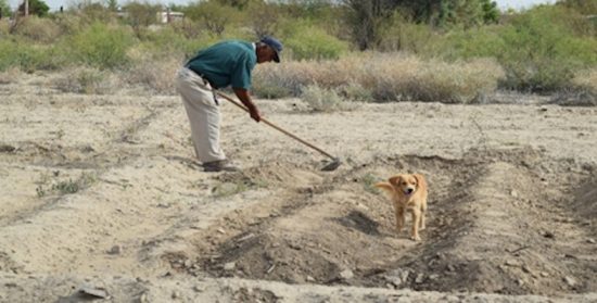 Comentario al XV Domingo del Tiempo Ordinario