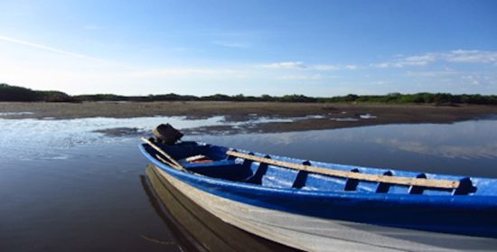 Comentario al XIX Domingo del Tiempo Ordinario