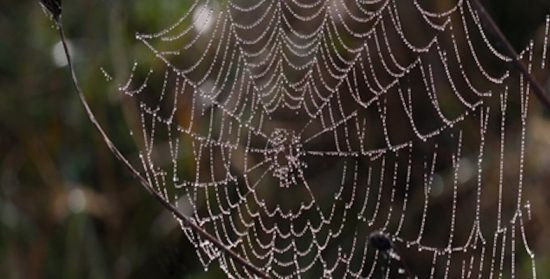 Cuentos con moraleja: “El hilo de la vida”