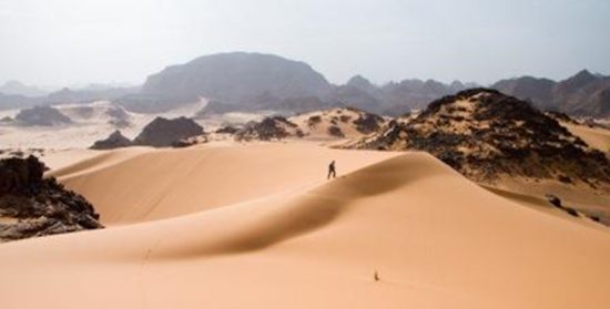 Cuentos con moraleja: “La tentación del camino fácil”