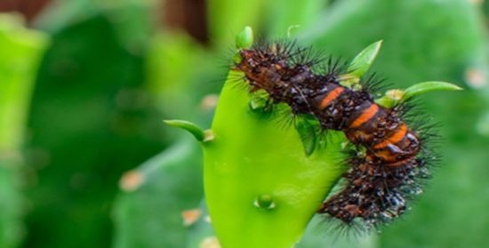 Cuentos con moraleja: “Dios siempre escucha”