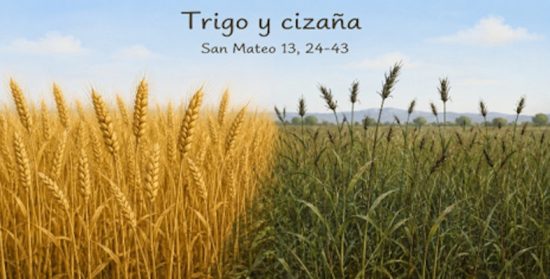 Comentario al XVI Domingo del Tiempo Ordinario